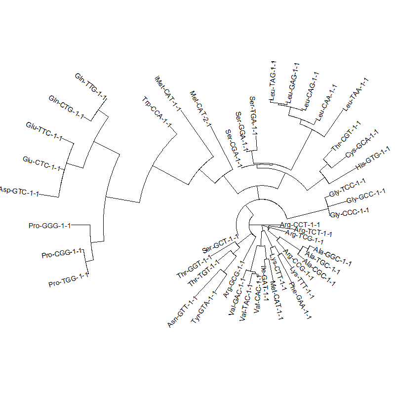 tRNA gene tree for Pyrococcus horikoshii (another Archaea). Sequences from UCSD tRNA database. (Not structurally aligned; only fasta seqs available)